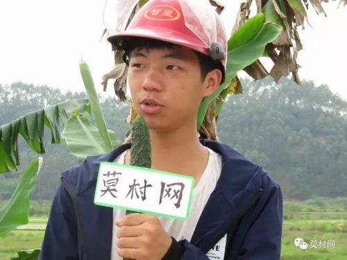 德庆最新爆料新闻联播,新闻联播揭示惊人内幕！