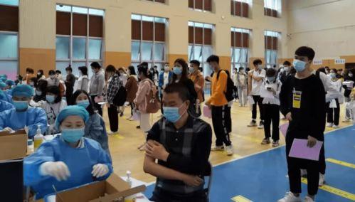 石家庄40中最新爆料消息,揭秘校园新动态与重大改革